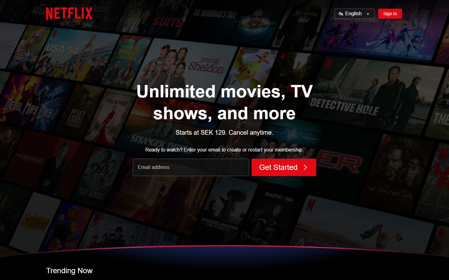 Preview of Netflix
