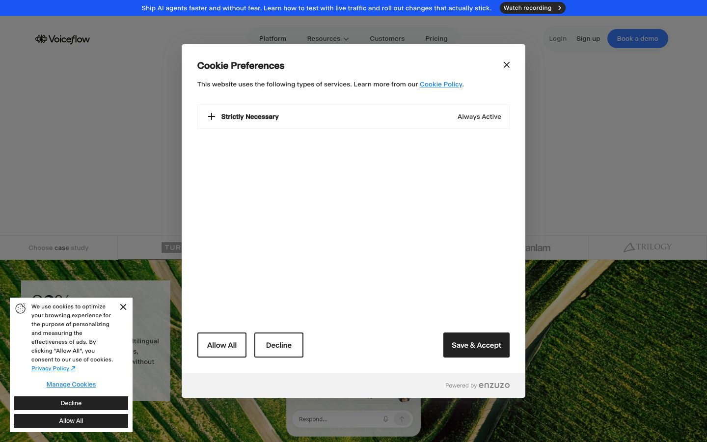 Preview of Voiceflow